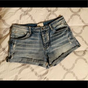 Gilded Intent shorts